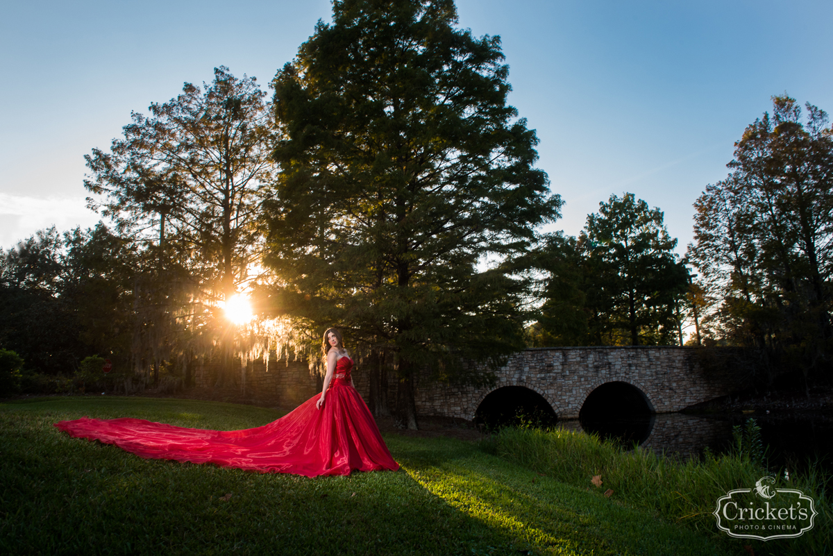 Disney Port Orleans Alfred Angelo Gown