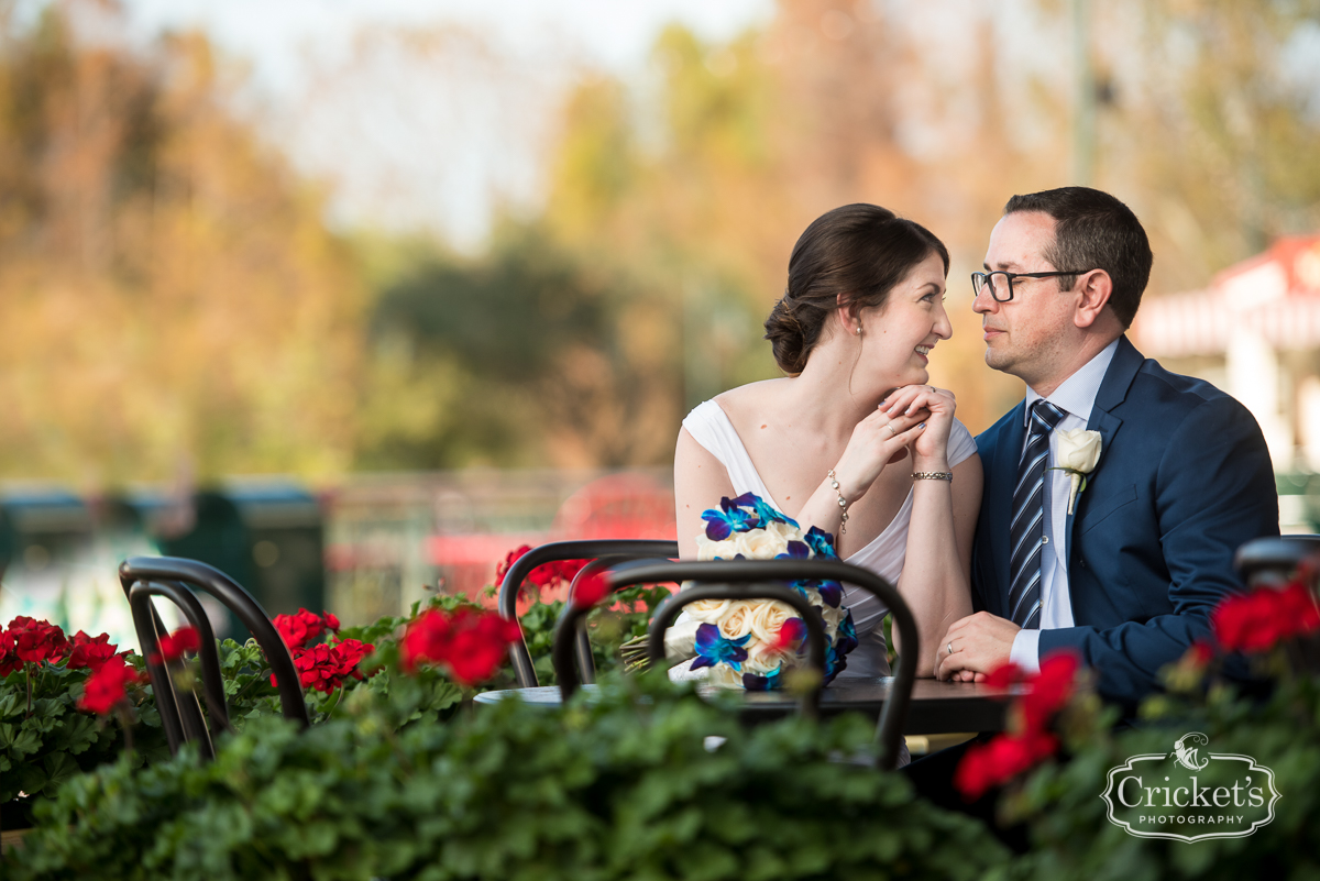 Walt Disney Orlando Swan and Dolphin Hotel Wedding