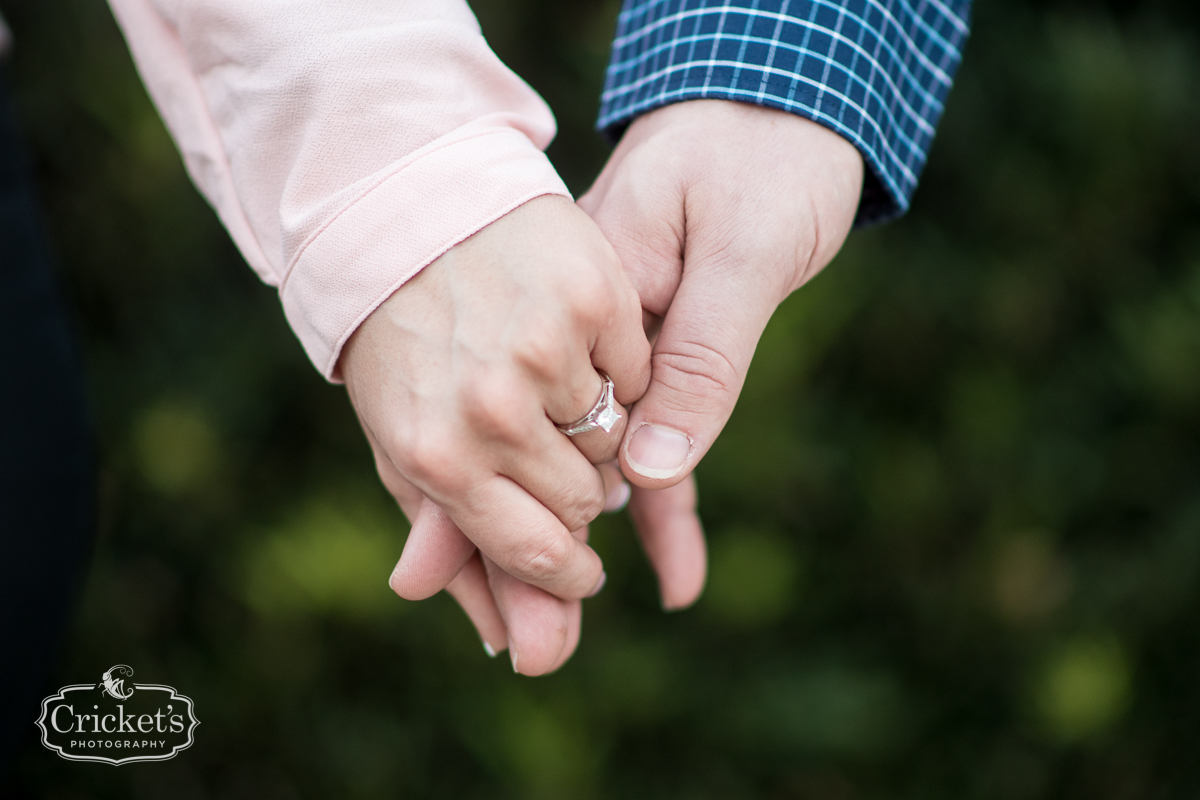 Orlando Engagement photography