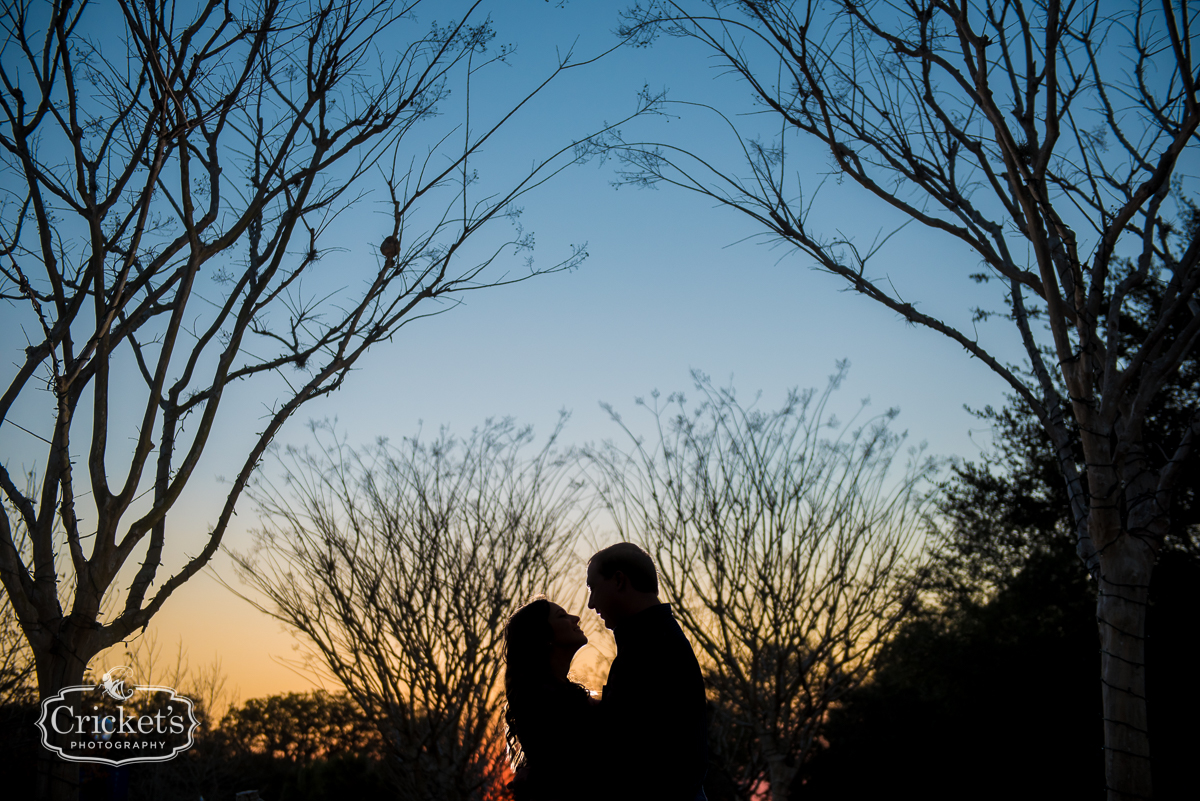 Orlando Engagement photography