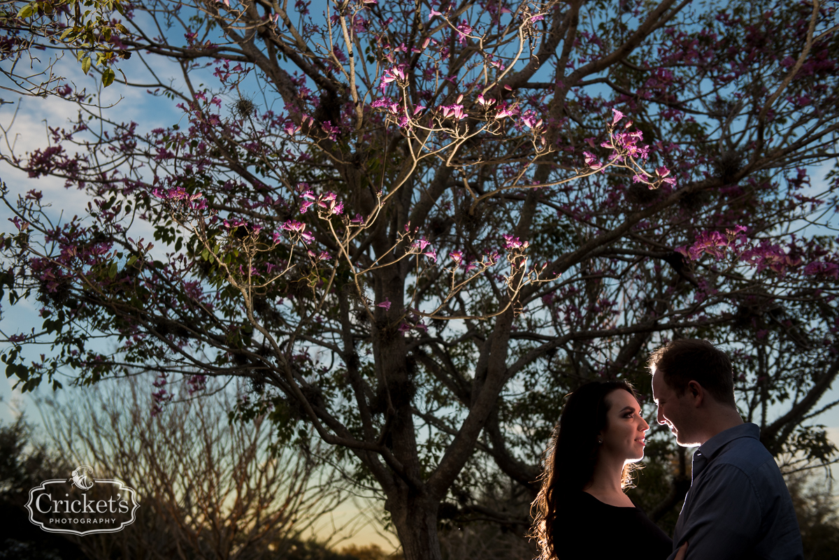 winter garden engagement session