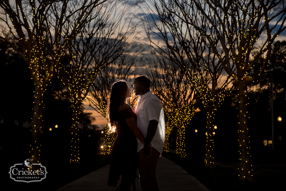 Winter Garden Engagement Session Photography