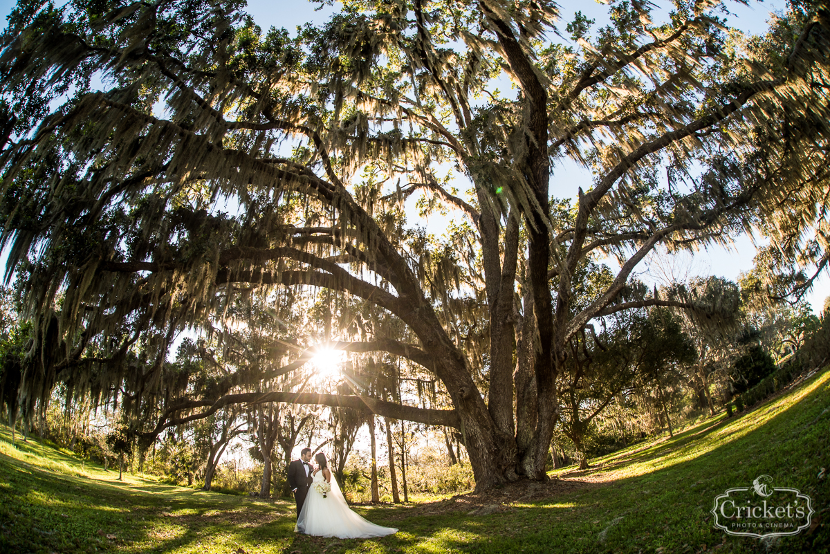 bella collina wedding photography