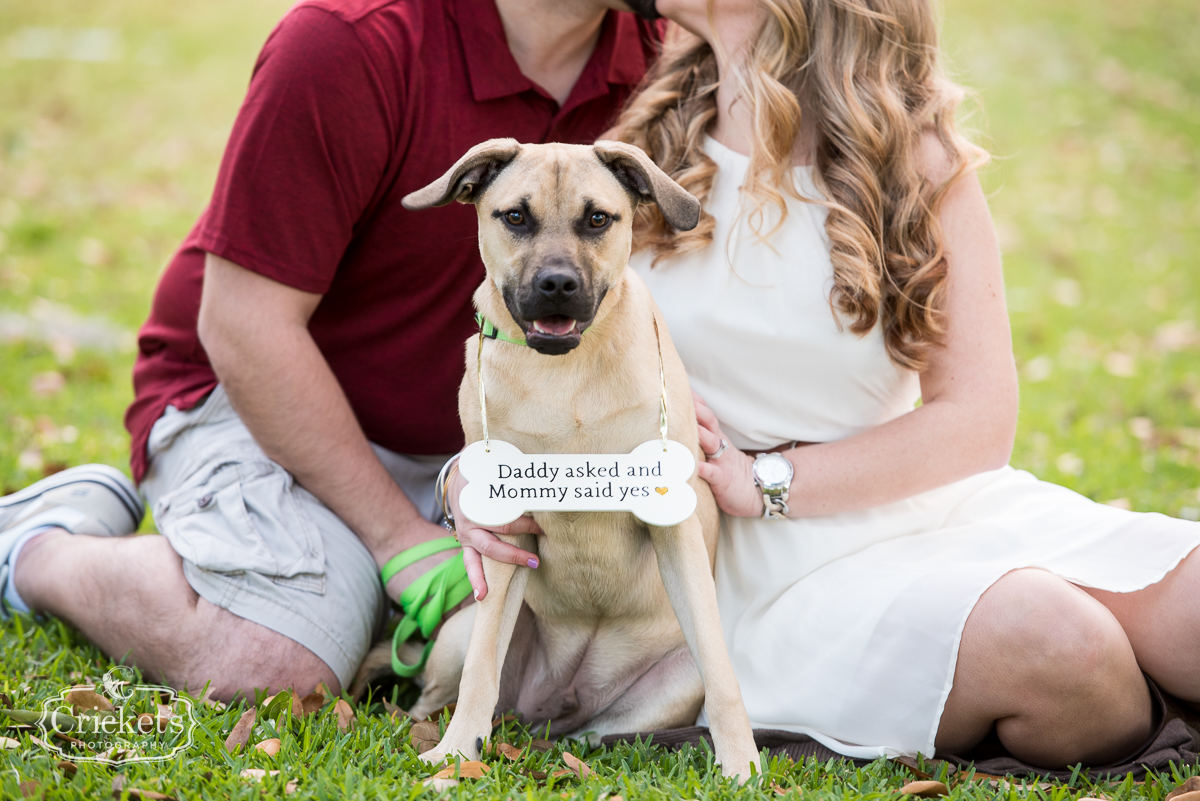 winter garden engagement session