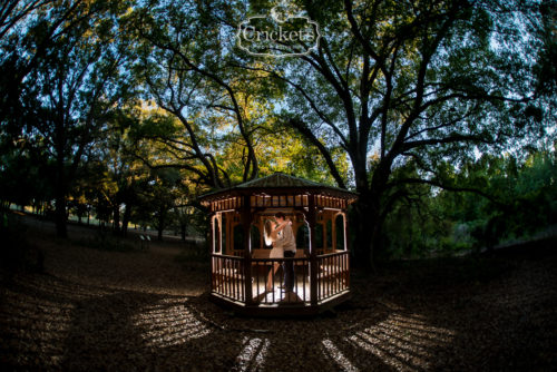 winter garden engagement photography