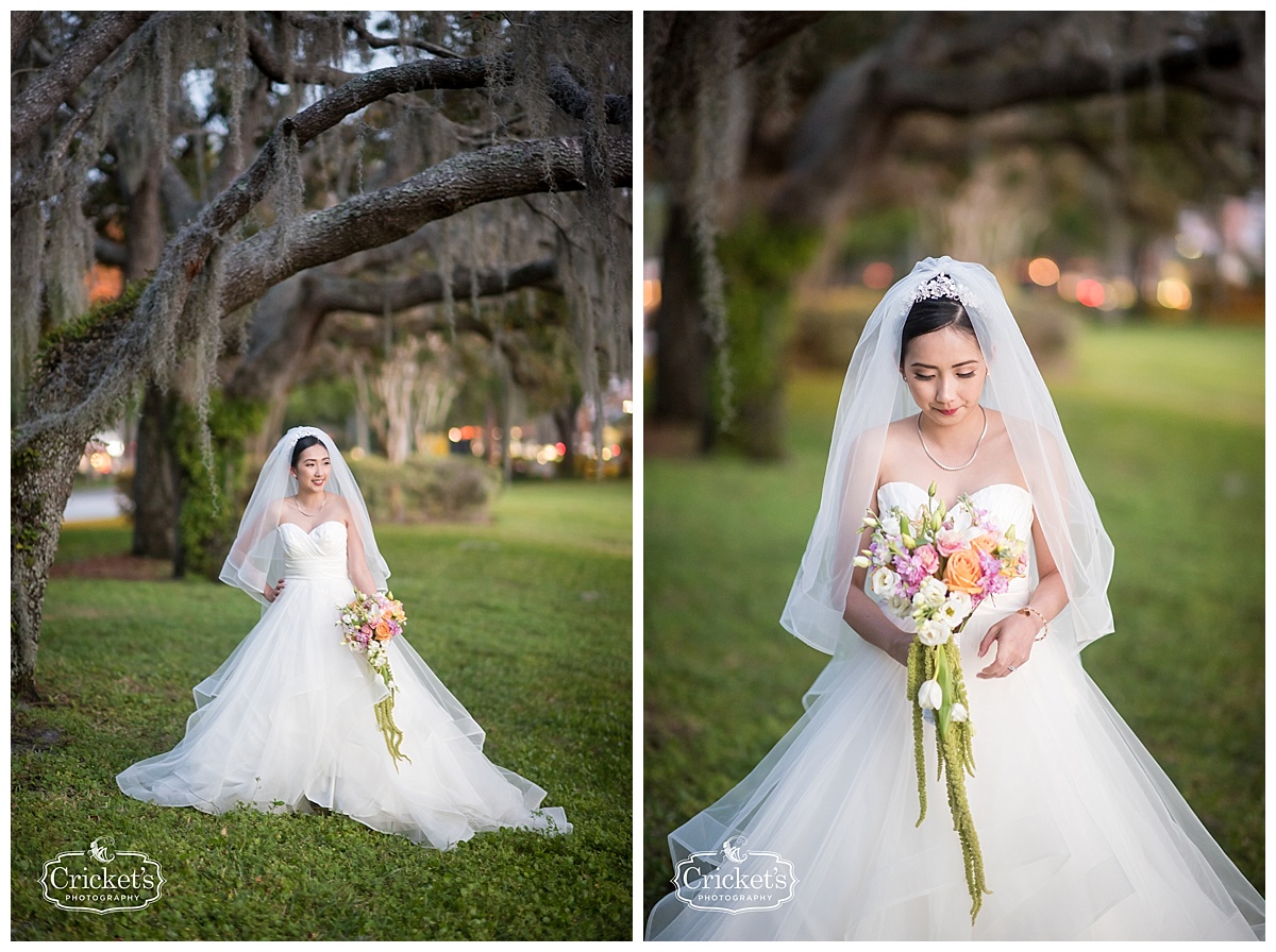 orlando vietnamese wedding photography