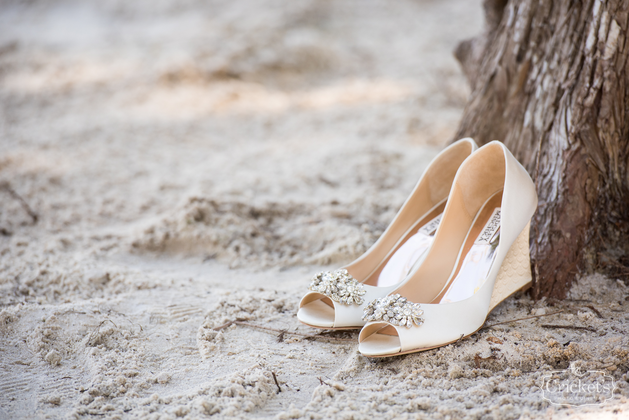 paradise cove orlando wedding photography