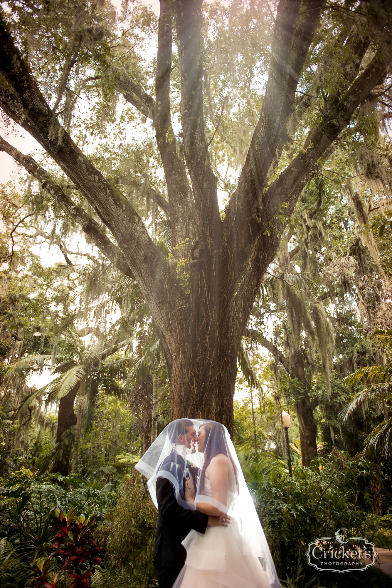 noah's event center orlando wedding photography