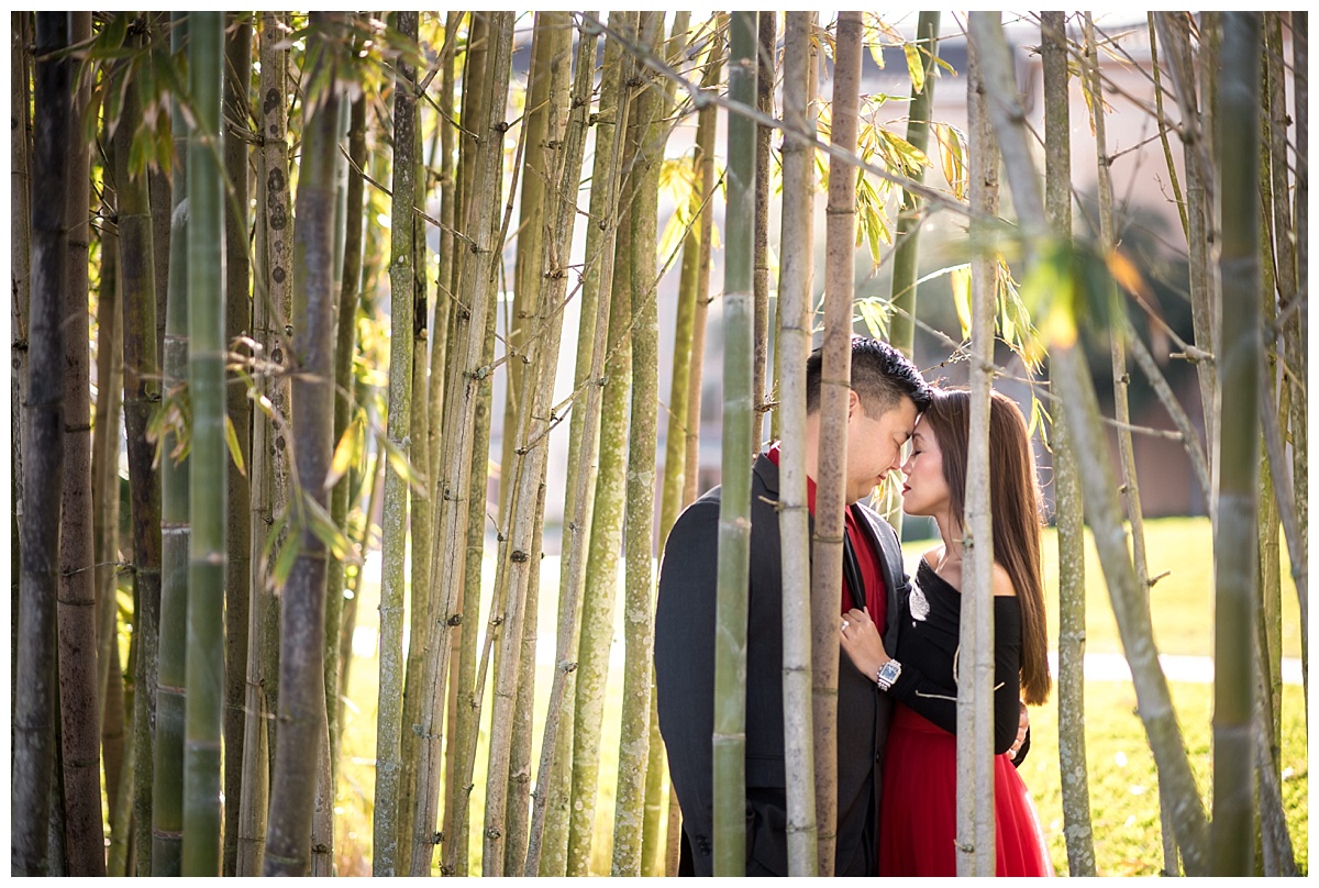 rosen shingle creek orlando anniversary photography