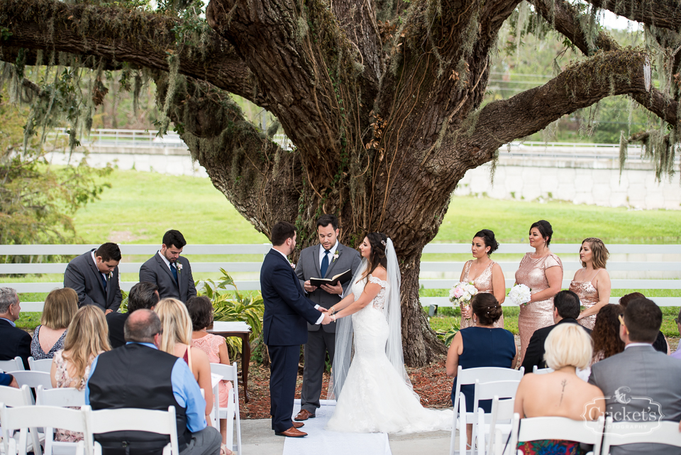 highland manor apopka wedding photography