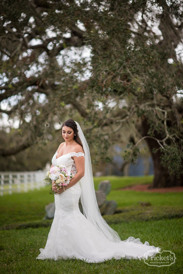 highland manor apopka wedding photography