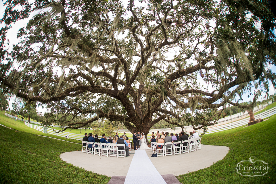 highland manor apopka wedding photography