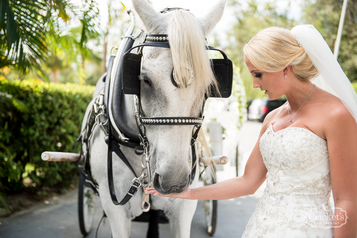 paradise cove orlando wedding photography