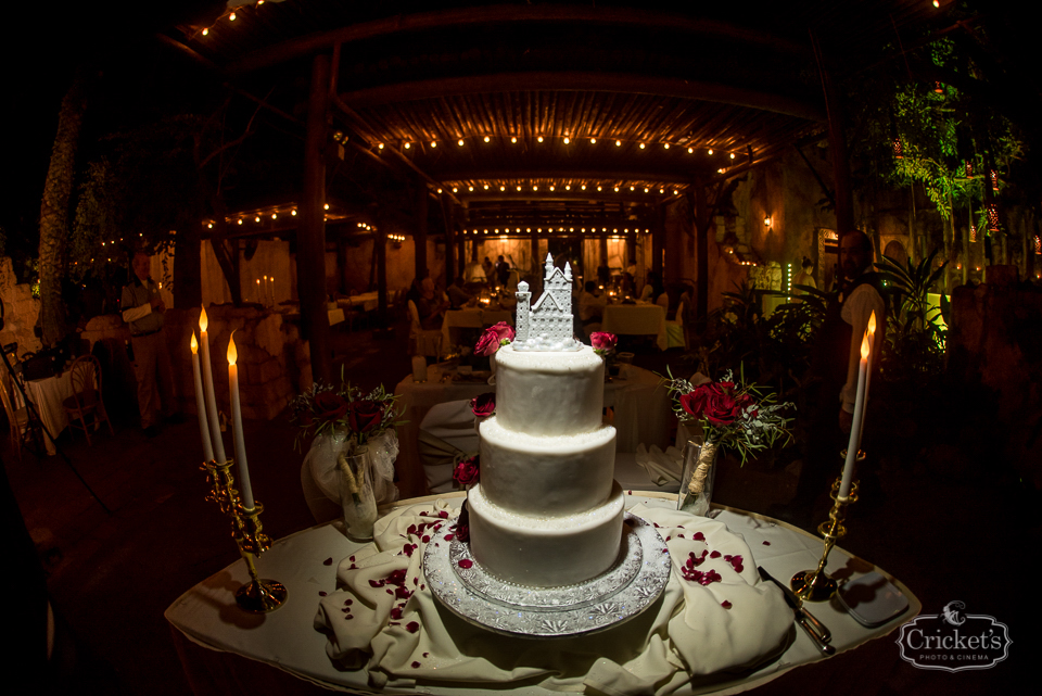 Disney animal kingdom wedding photography