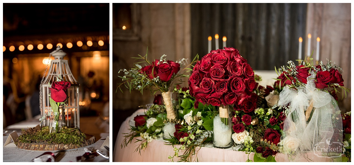 Disney animal kingdom wedding photography