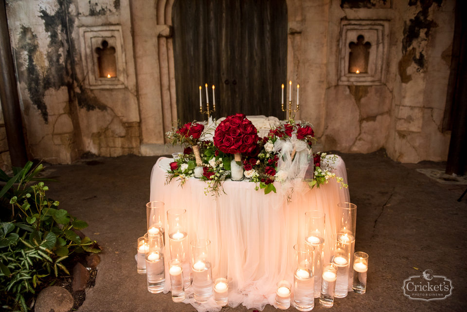 Disney animal kingdom wedding photography