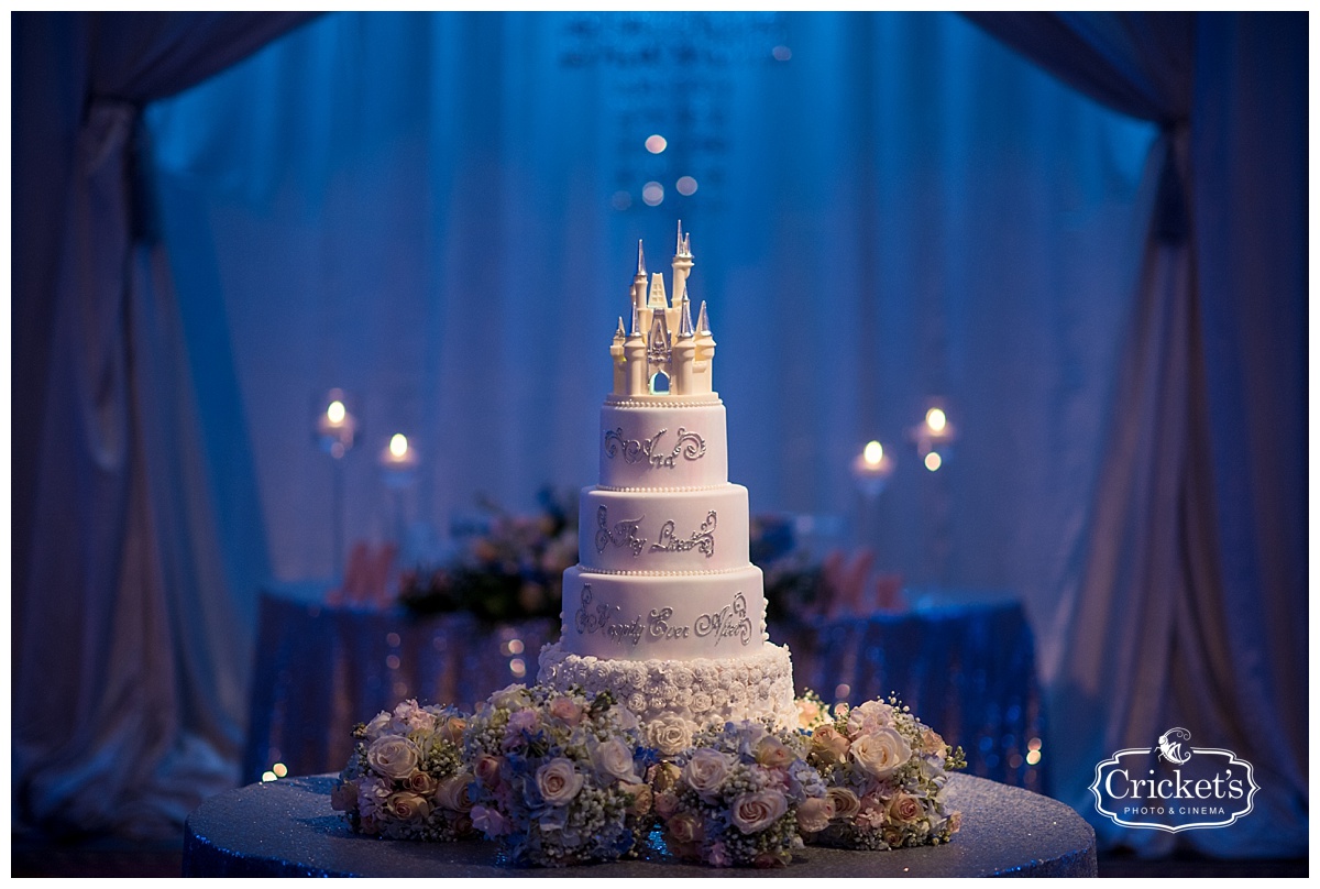 disney fairytale orlando wedding photography