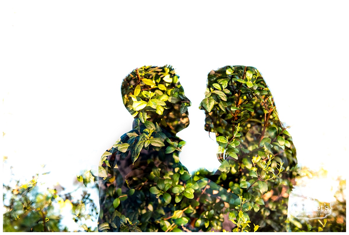 winter garden engagement photography