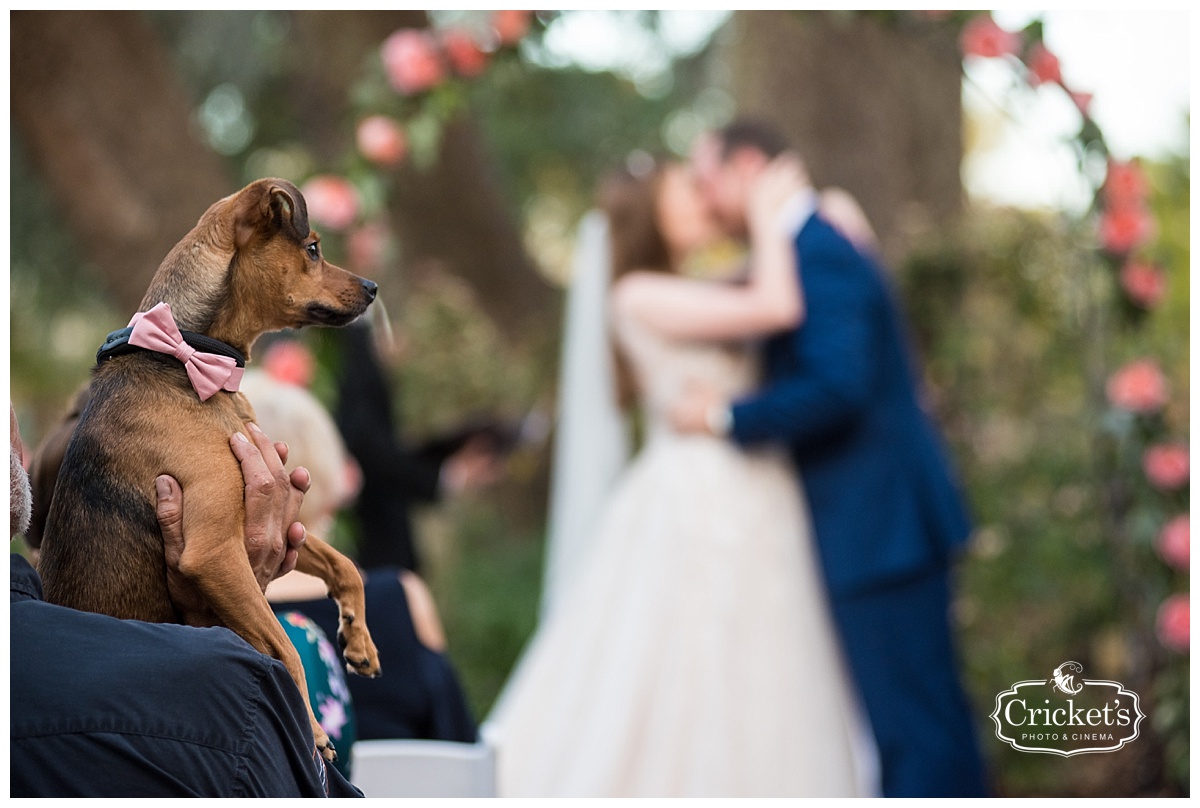 dubsdread orlando wedding photography