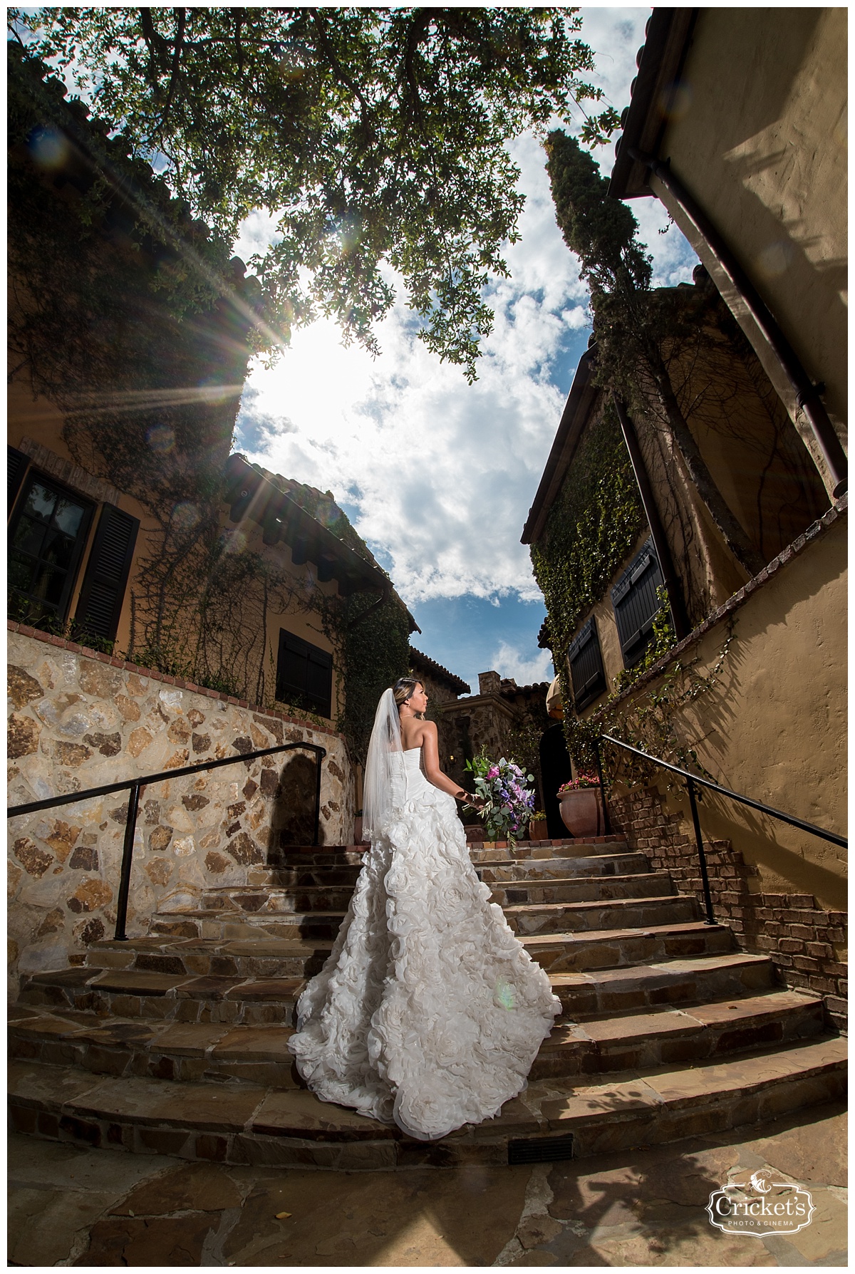 bella collina wedding photography