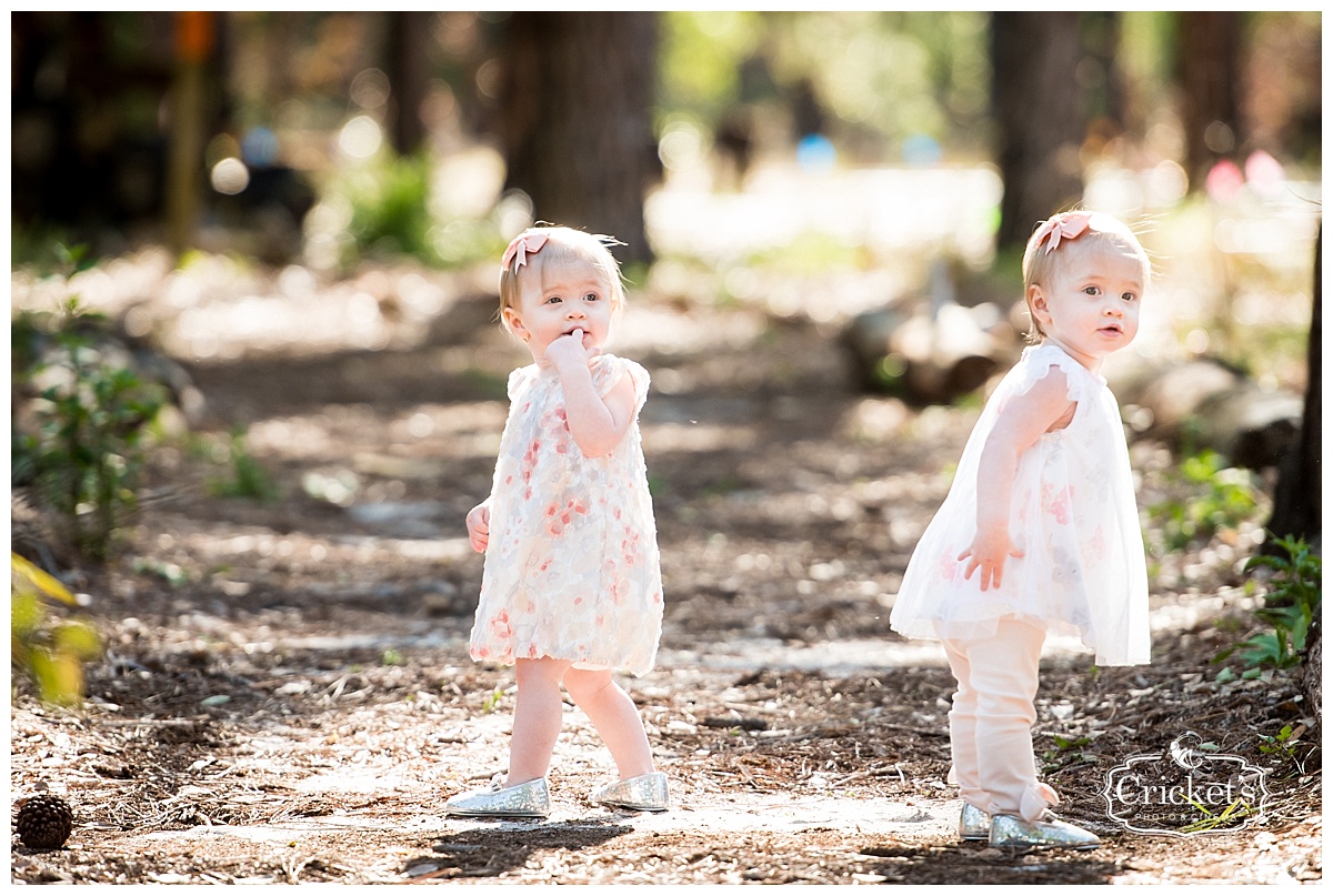 winter garden family photography