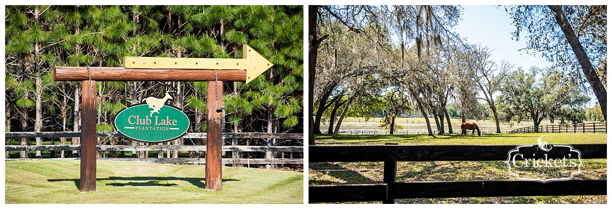 club lake plantation wedding photography