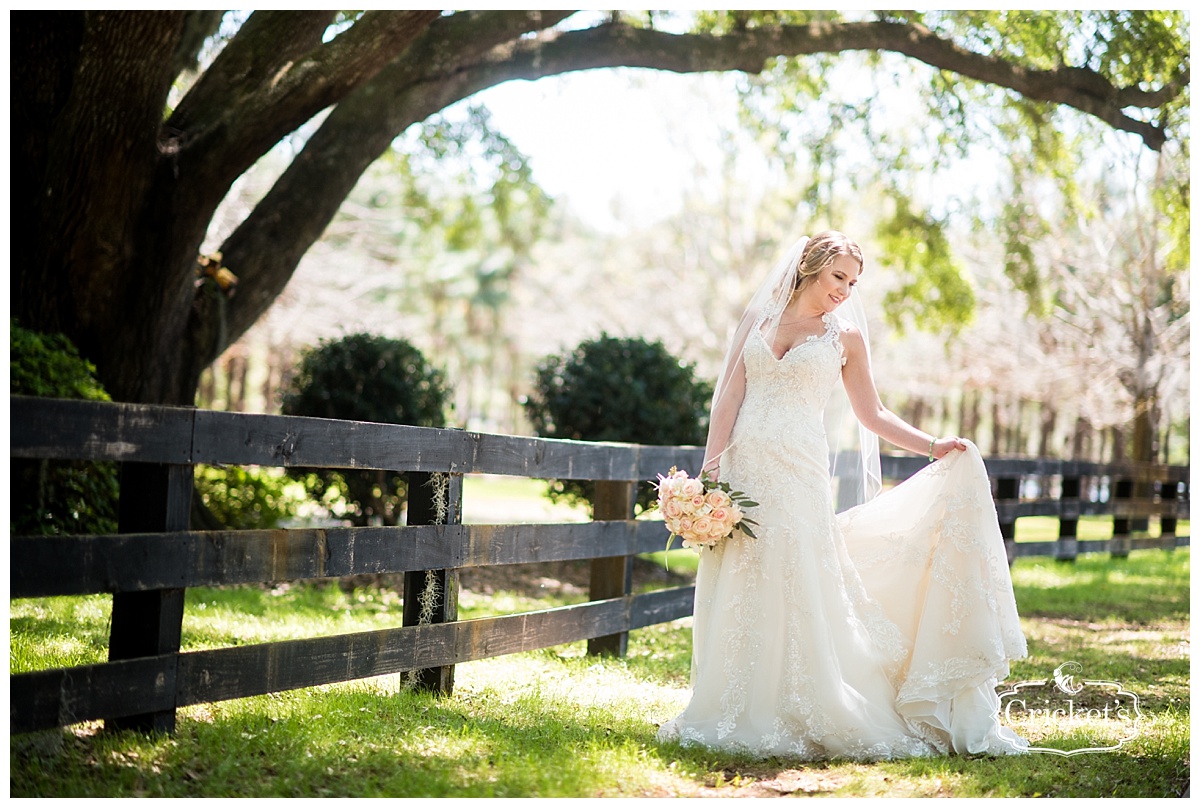 club lake plantation wedding photography