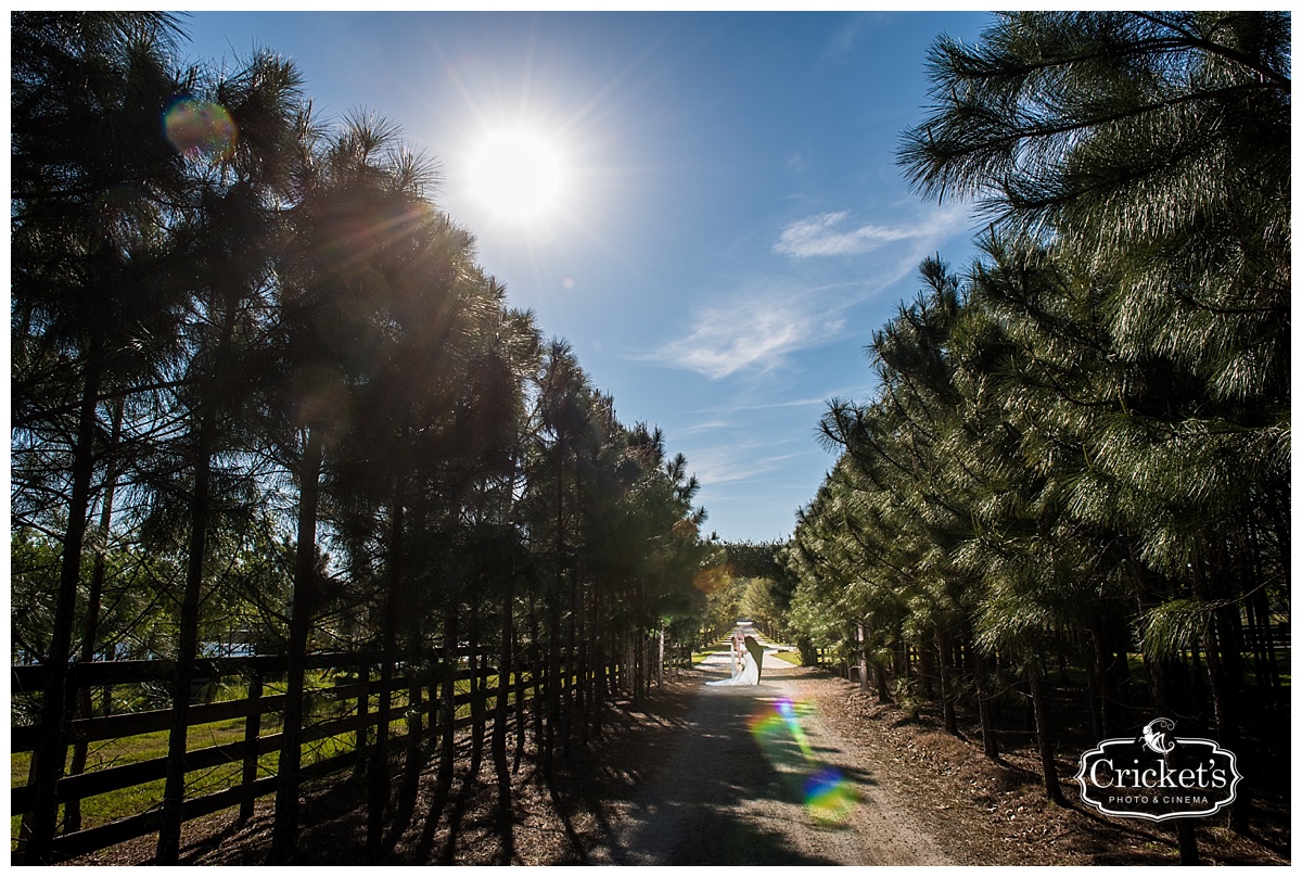 club lake plantation wedding photography