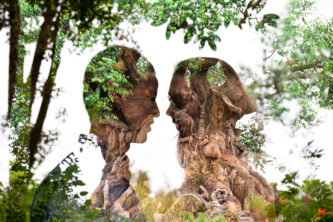 Disney wedding photography