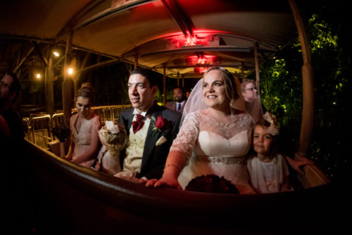 Disney wedding photography