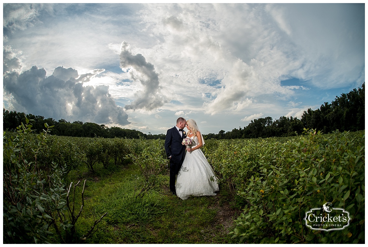 ever after farms wedding