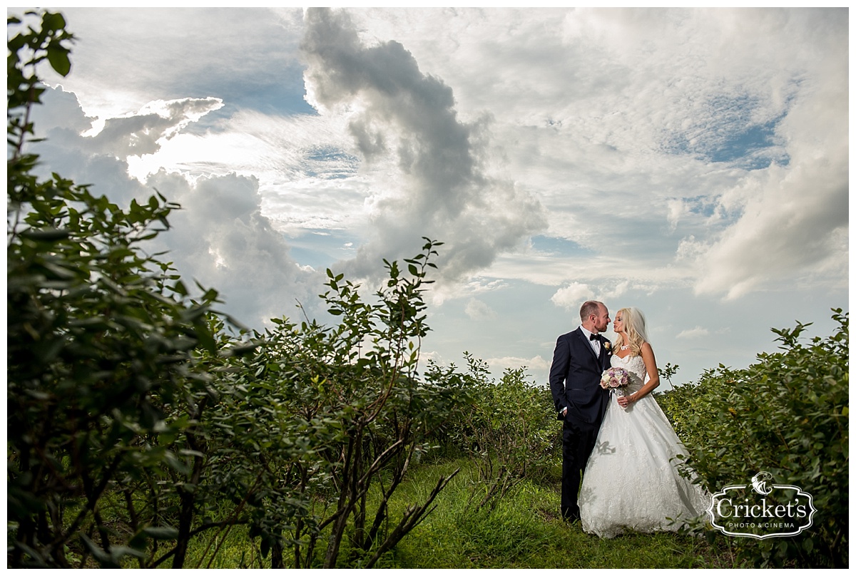 ever after farms wedding