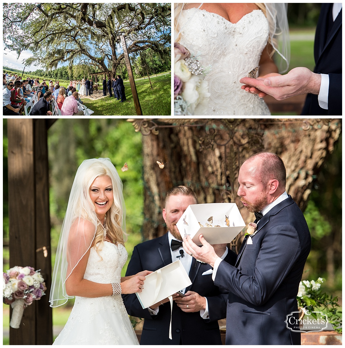 ever after farms wedding