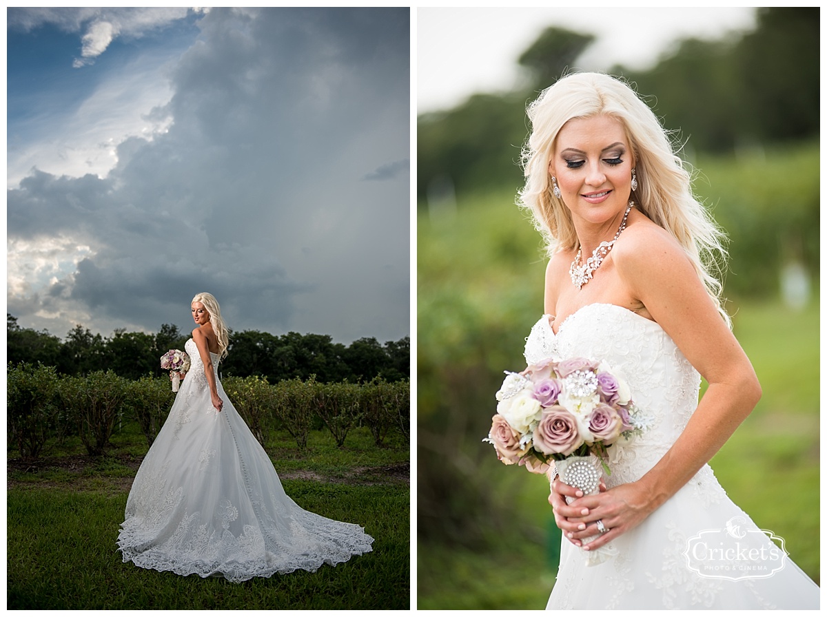 ever after farms wedding