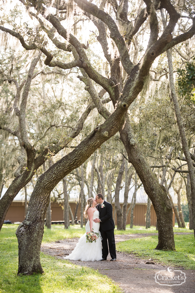 Stonebridge at Lange Farms Wedding