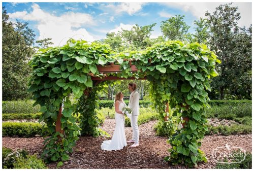 Hard Rock Hotel Orlando Wedding