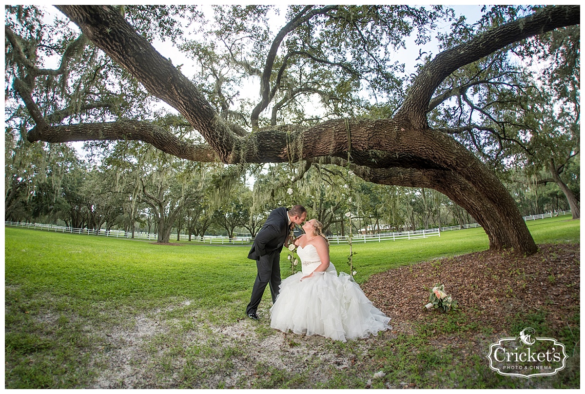 Stonebridge at Lange Farms Wedding