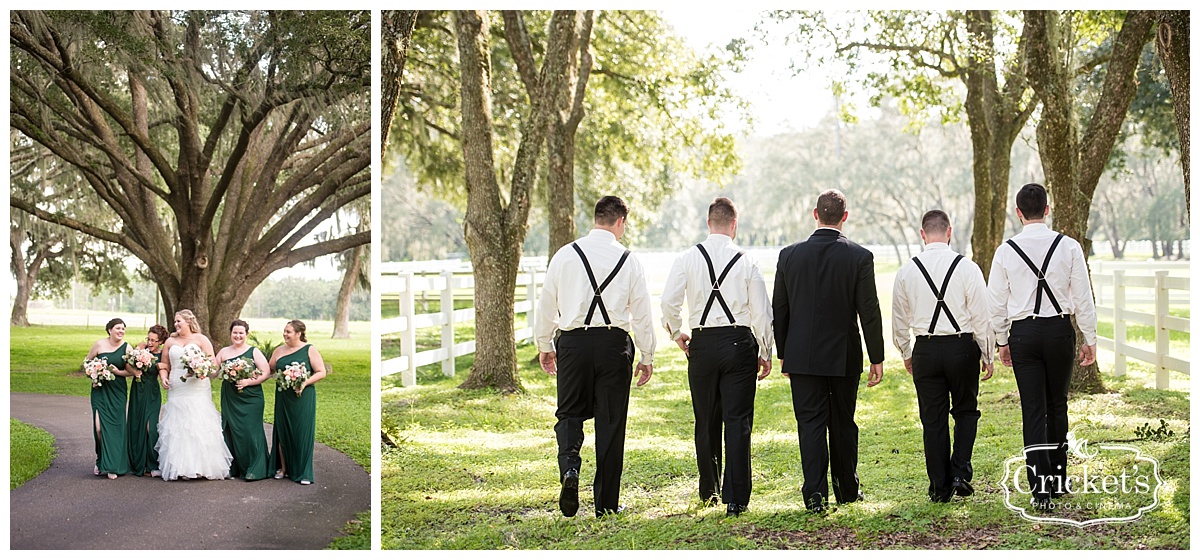 Stonebridge at Lange Farms Wedding