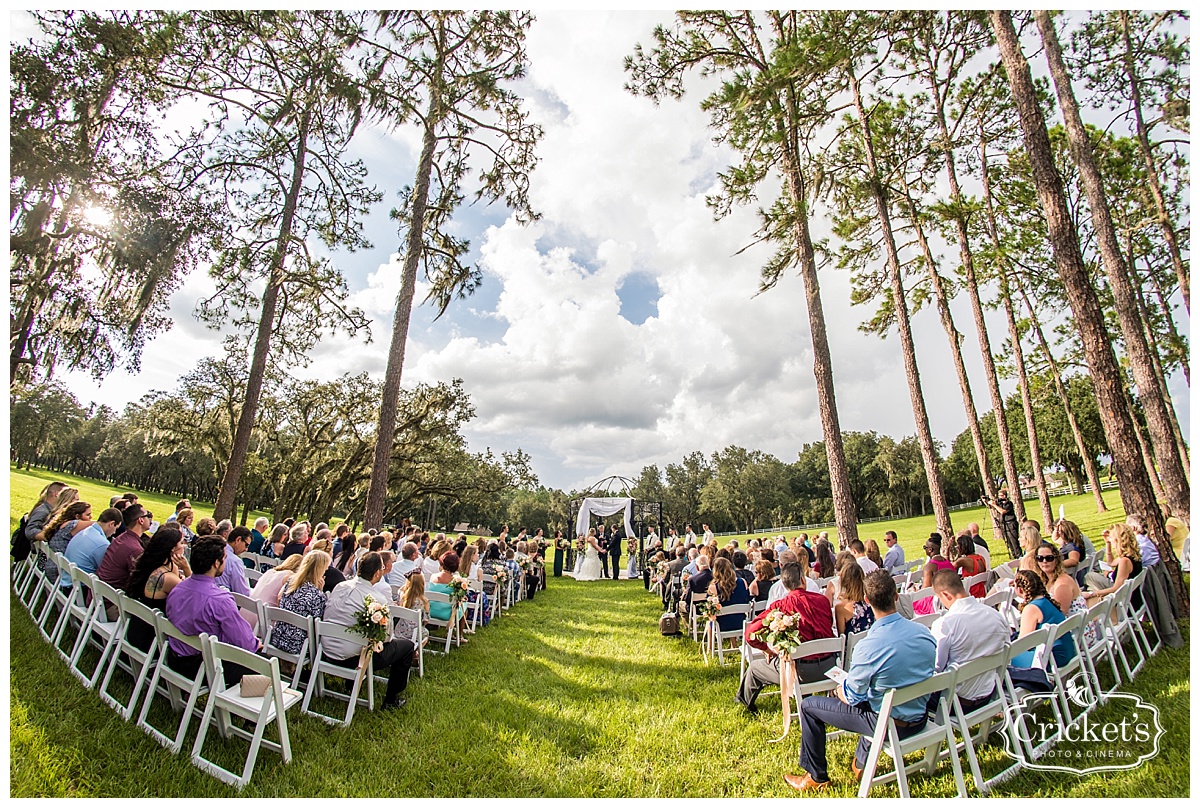 Stonebridge at Lange Farms Wedding