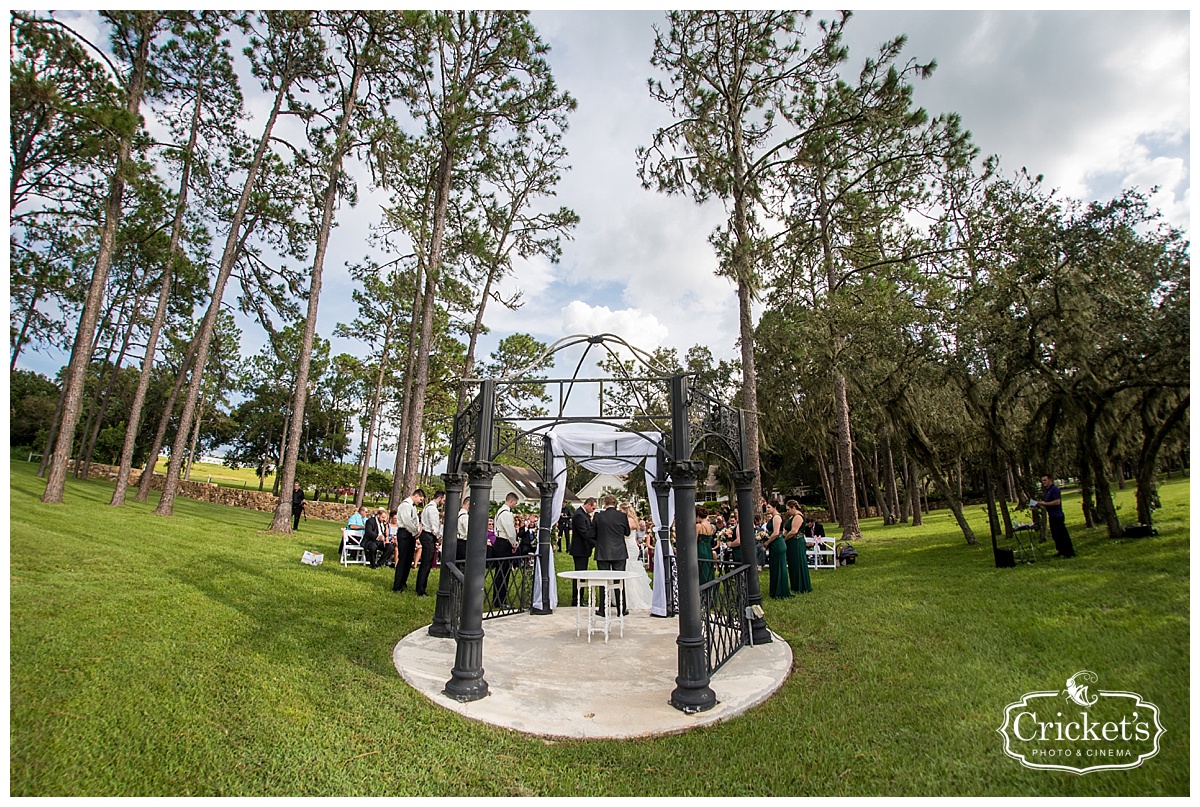 Stonebridge at Lange Farms Wedding