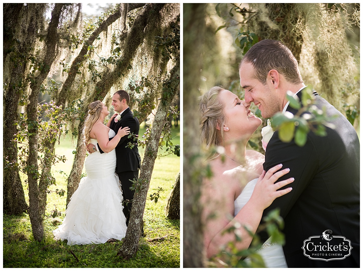 Stonebridge at Lange Farms Wedding