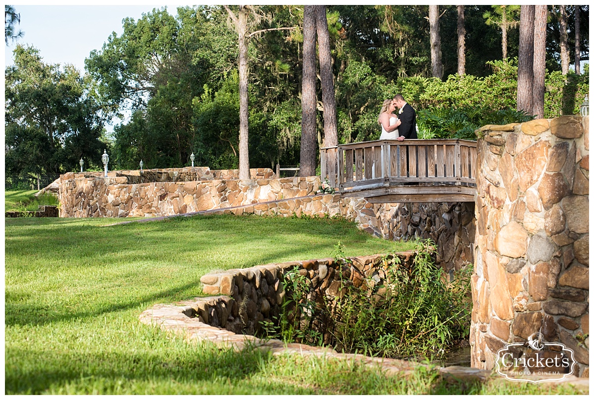 Stonebridge at Lange Farms Wedding