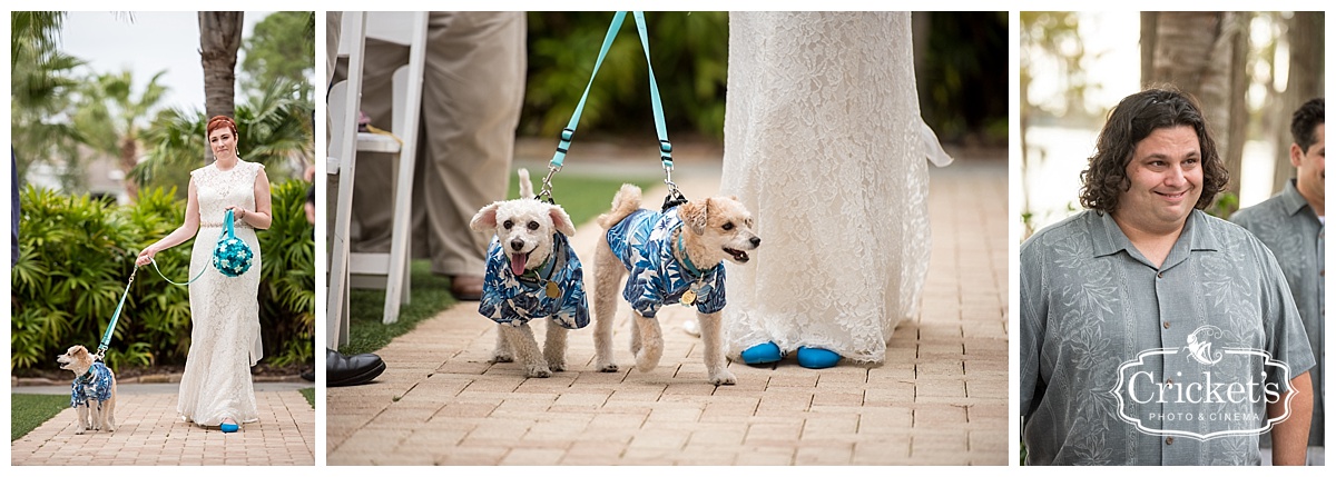 Paradise Cove Orlando Wedding