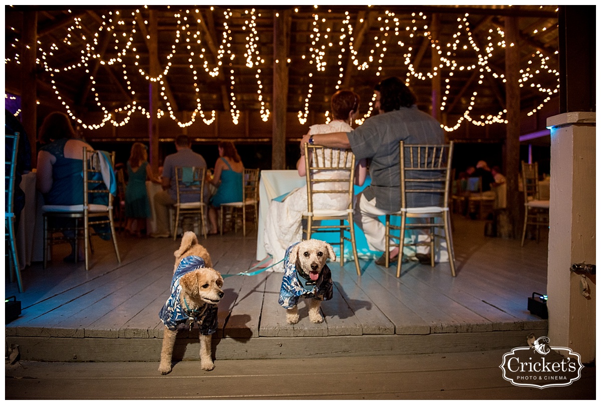 Paradise Cove Orlando Wedding