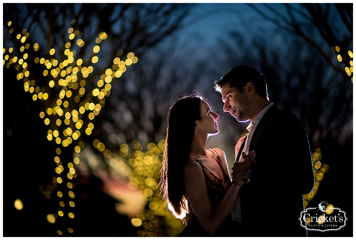 Winter Garden Engagement Photography