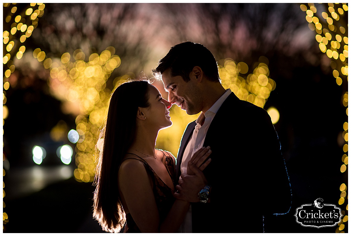 Winter Garden Engagement Photography