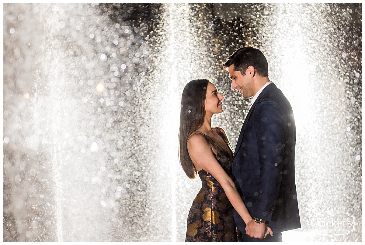 Winter Garden Engagement Photography