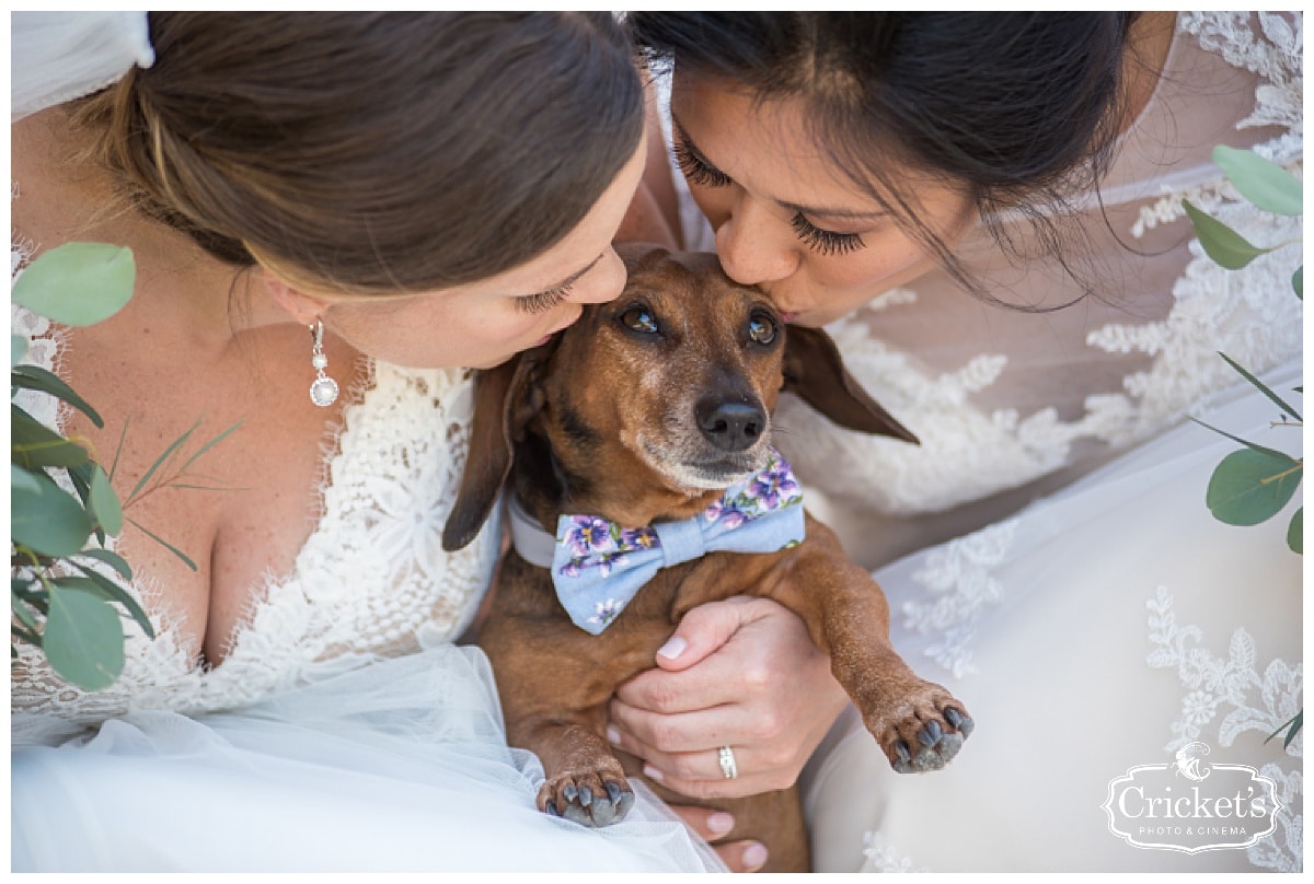 The Mulberry at New Smyrna Beach Wedding