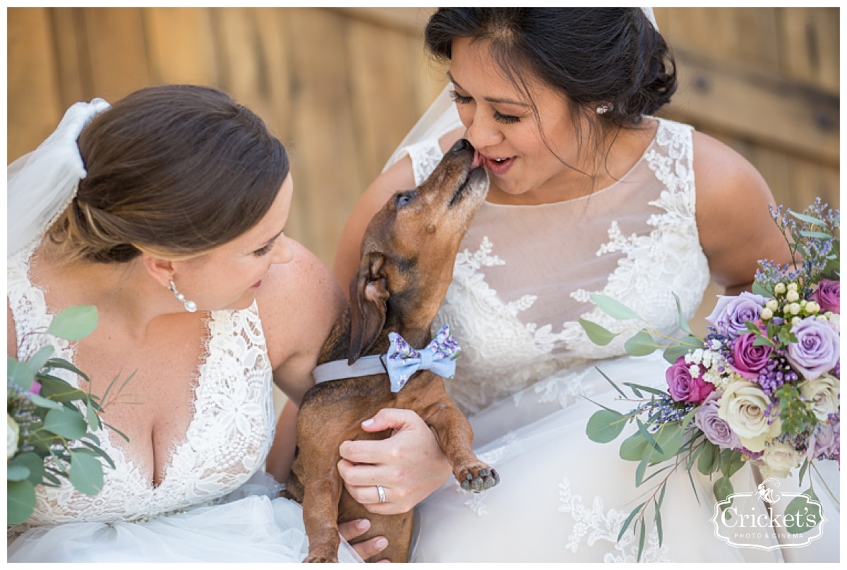 The Mulberry at New Smyrna Beach Wedding