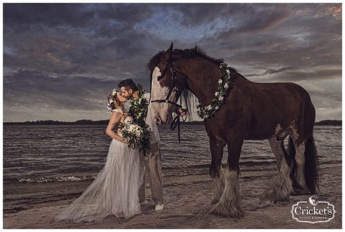 Grissell and Felipe included a Cydesdale horse in their wedding. The groom entered on the horse provided by Aloha Productions. After the ceremony the bride and groom enjoyed some time with this majestic creature some more photos. I